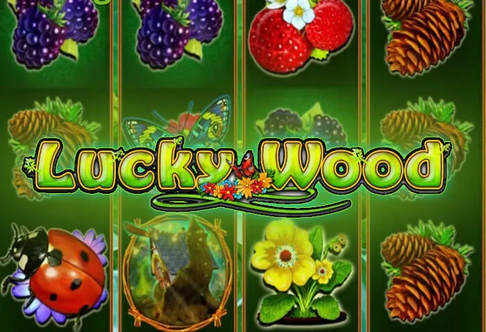 Mobilna Betplaycasino iskrena recenzija aplikacije.