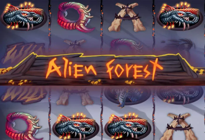Current Betplaycasino no deposit bonus terms explained.