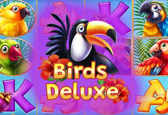 Fast withdrawals from Betplaycasino Promotions & Bonuses winnings.